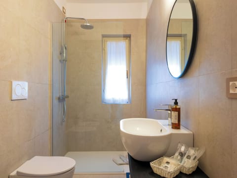 Shower, hair dryer, bidet, towels