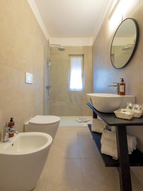 Shower, hair dryer, bidet, towels