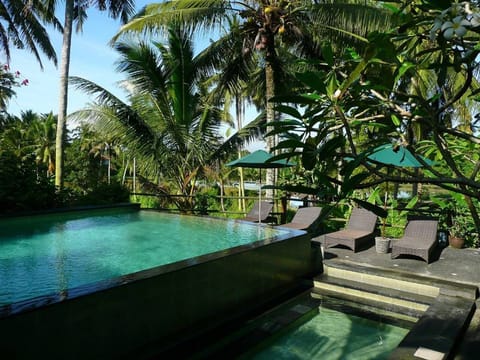The swimming pool