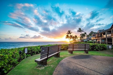 Relax and come stay awhile watching for whales and gorgeous sunsets!