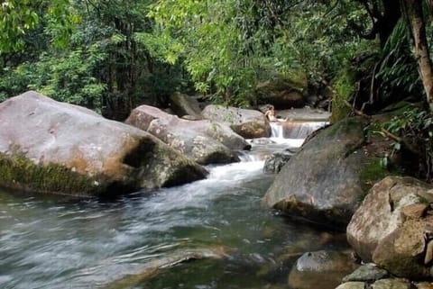 Private swimming holes and waterfalls