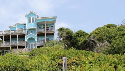 Charming turquoise beach house with private backyard pool surrounded by lush coastal vegetation and mature trees.