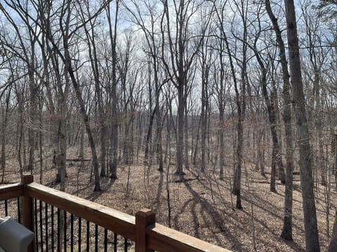 Back deck view when leaves are off trees