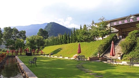 Garden view