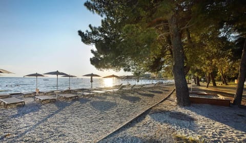 On the beach, beach umbrellas, beach volleyball, 2 beach bars