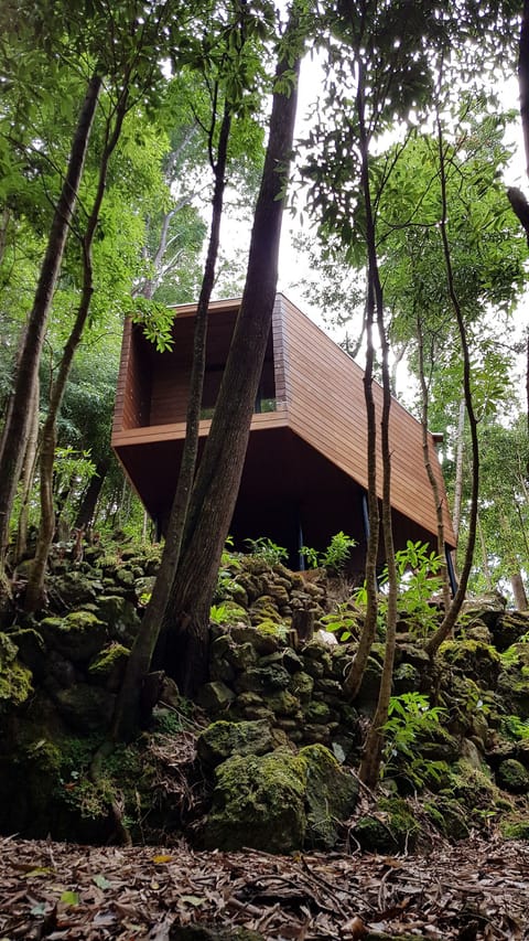 Design Cabin, Garden View | Individually decorated, desk, laptop workspace, blackout drapes