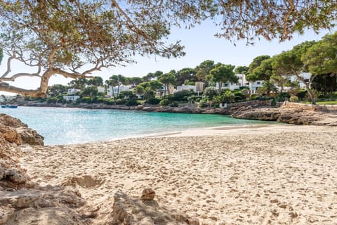 Beach nearby, white sand