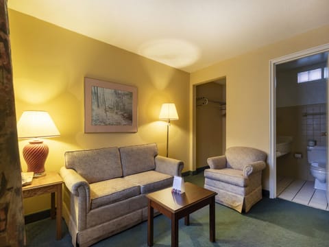 Studio Suite, 2 Double Beds, Non Smoking | Living area | 32-inch TV with cable channels