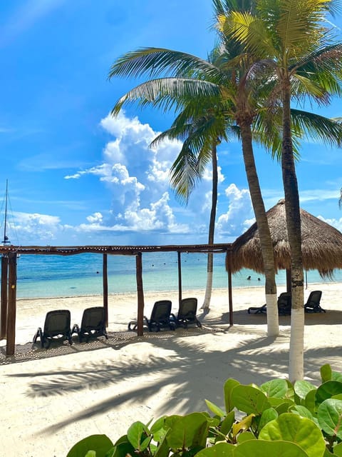 Private beach, white sand, sun loungers, beach umbrellas