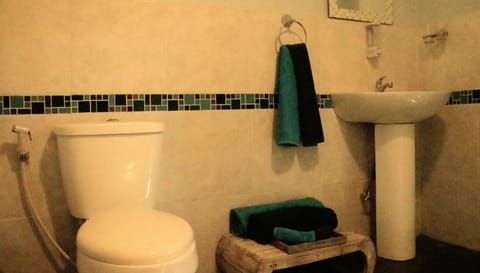 Shower, free toiletries, hair dryer, towels