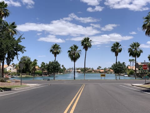 Your Daily Drive In 