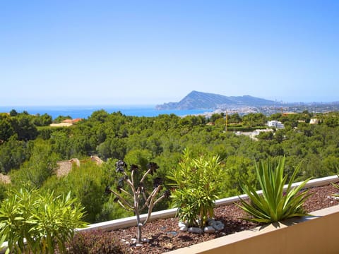 Vegetation, Property, Real Estate, Botany, Plant Community, Plant, Grass Family, Vacation, Landscape, Shrubland