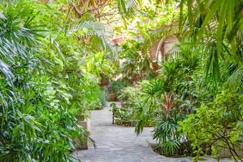 Exclusive Double Room, 1 King Bed, Garden View | View from room