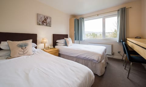 Twin Room | View from room