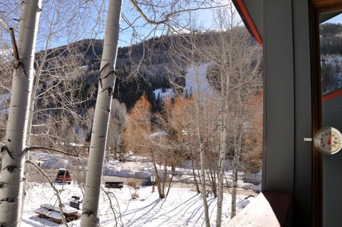 Beautifully Remodeled - Steps to Lift 7 and River Trail with Mountain Views Apartment in Telluride