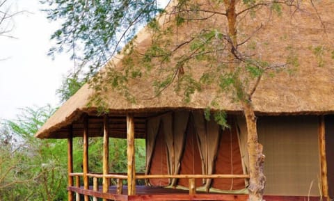 Deluxe Cabin, Park View | Egyptian cotton sheets, premium bedding, desk, blackout drapes