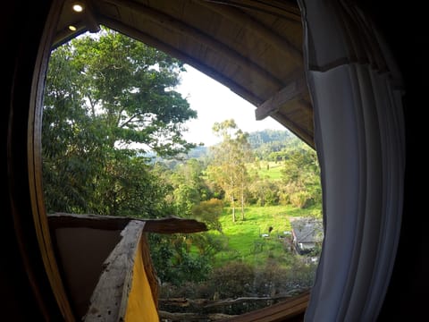 Family Room, Mountain View (Tucan) | View from room