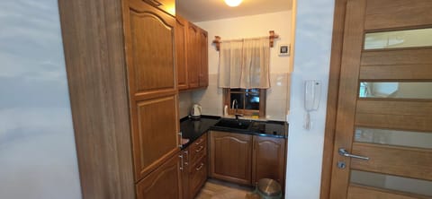 Deluxe Apartment, River View | Private kitchen | Fridge, coffee/tea maker, electric kettle