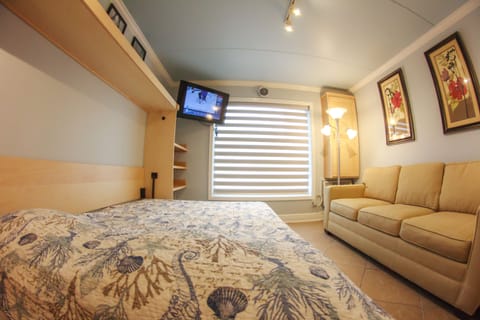 Queen Tempurpedic Murphy Bed in "down" position.