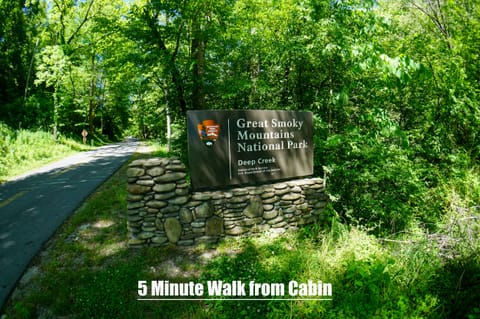 Great Smoky Mountains National Park - Great Smoky Mountain National Park- Deep Creek is a 5 minute walk from this cabin.