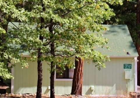 Shady Grove Cabin inside Yosemite National Park, street view.