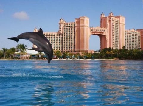 Atlantis-spectacular location at your doorstep