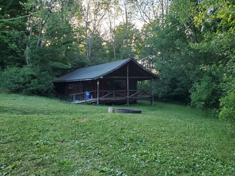 The cabin