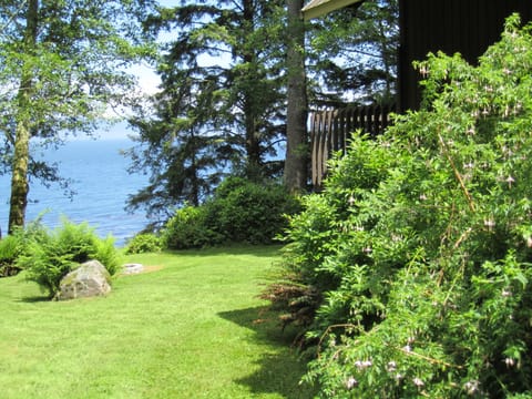 House, yard and firepit