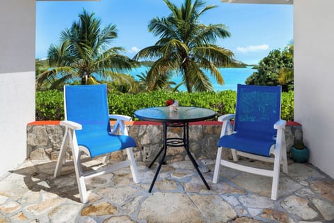 Villa | Terrace/patio