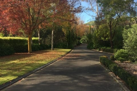 Driveway into Ambury House