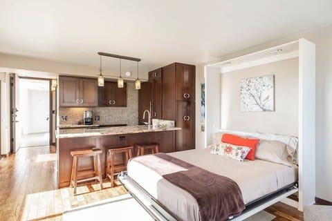 Bright, airy studio with queen size wallbed.  Firm, comfortable mattress.