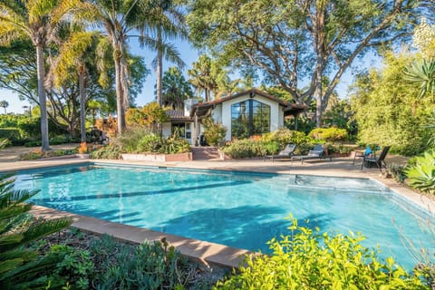 Stunning pool in lush oasis