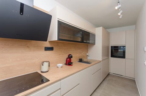 Apartment (A2) | Private kitchen | Fridge, oven, stovetop, espresso maker