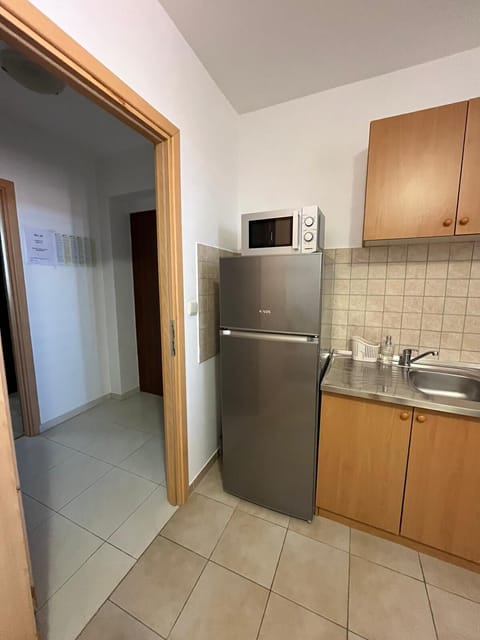 Apartment (A1) | Private kitchen | Fridge, microwave, electric kettle, toaster