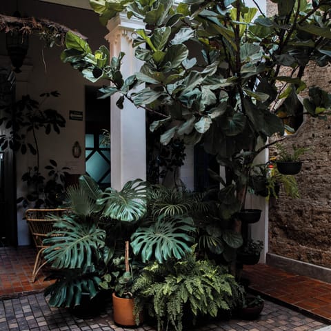 Courtyard