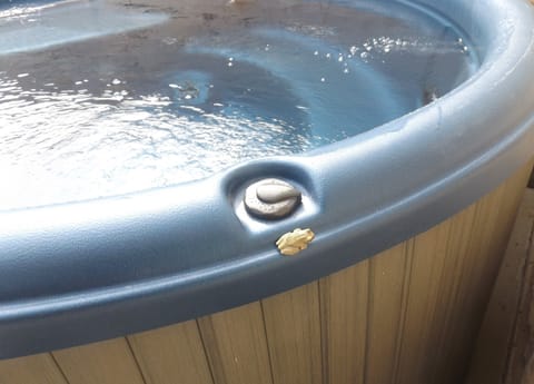 we are in the country.  his name is Oscar.