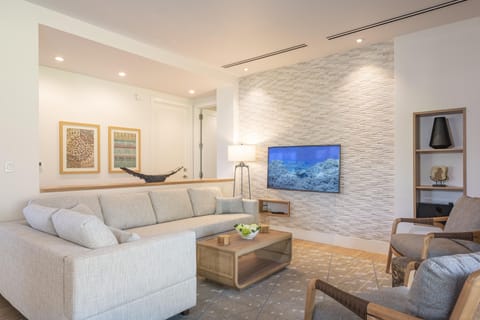Living area with wall mounted TV.  Amazon Echo.  Roku.  Pull out sofa.
