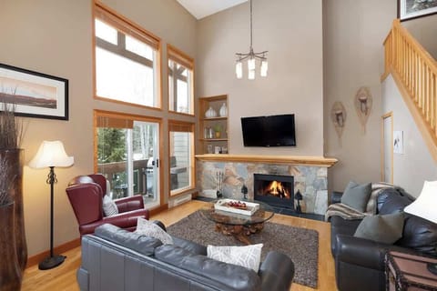 Living area has vaulted ceilings which give an abundance of natural light