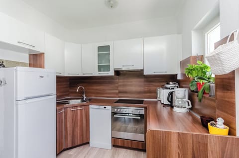 Apartment (A1) | Private kitchen | Fridge, microwave, stovetop, espresso maker
