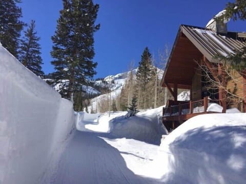 Neighborhood in Winter