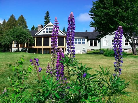 Lakeside yard
