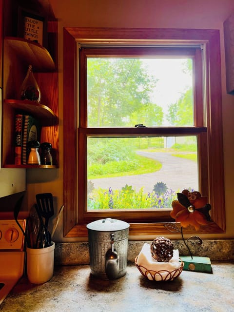 View of the driveway from the kitchen
