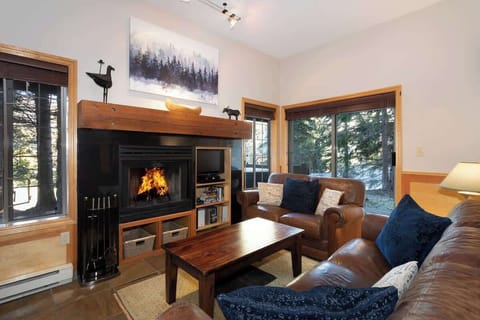 Cosy living room with fireplace and small TV
