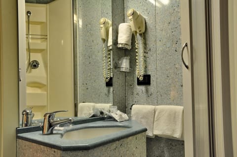 Business Single Room, Non Smoking | Bathroom | Free toiletries, hair dryer, bidet, towels