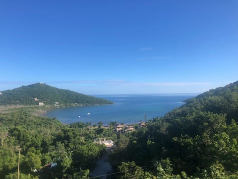 Fish Bay view
