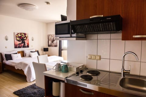 Studio (A2) | Private kitchen | Fridge, electric kettle