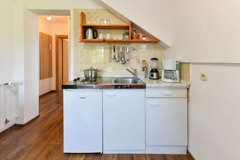 Apartment with kitchen and balcony | Private kitchen | Fridge, coffee/tea maker, electric kettle