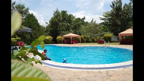 Outdoor pool, sun loungers