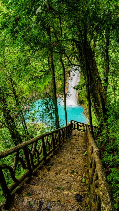 Hiking