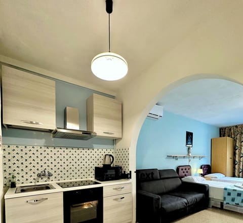 Standard Studio | Private kitchen | Full-size fridge, microwave, oven, stovetop